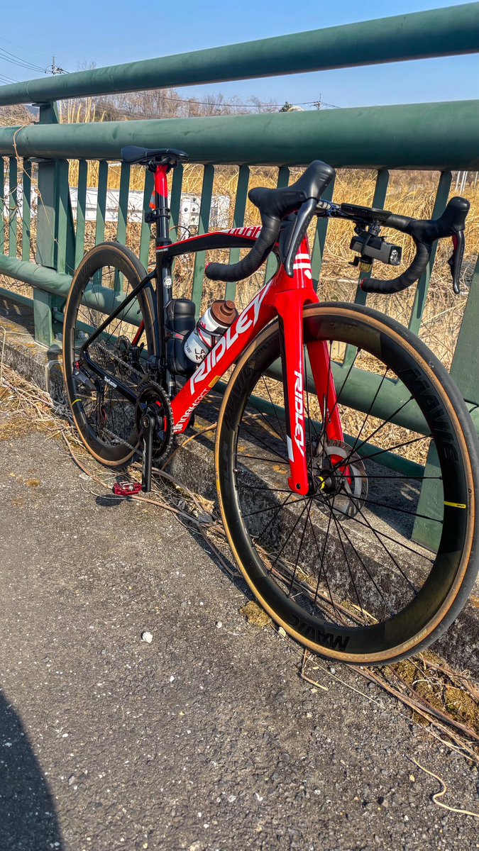 Matthew62945438's tweet photo. 2025.3.23
RIDLEY Noah Fast
Morning cycling
#ロードバイク乗りと繋がりたい #ロードバイク好きな人と繋がりたい #ロードバイク #RIDLEY #RIDLEYBike #NoahFast #라이딩 #Mavic #Morning #朝 https://t.co/Jw5kKxOdh0