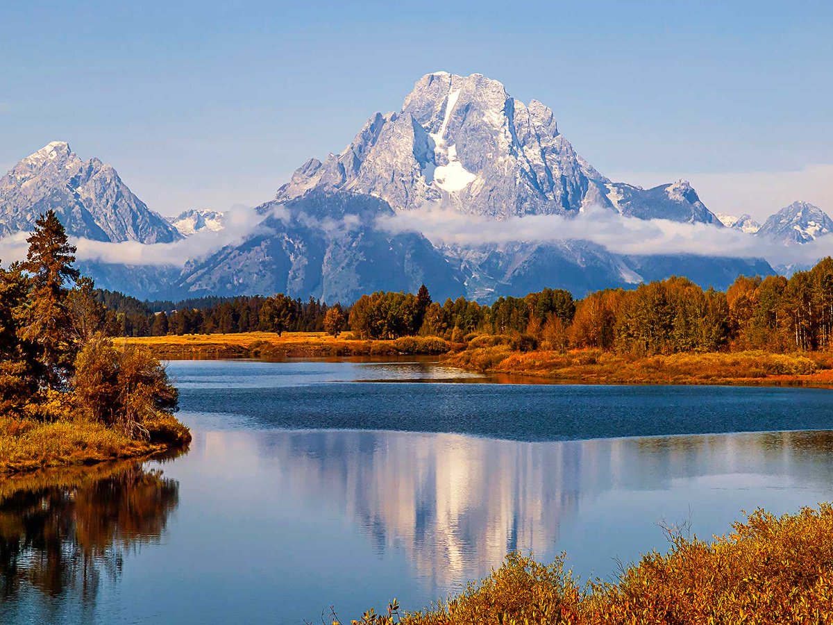 Border Hawk tweet media