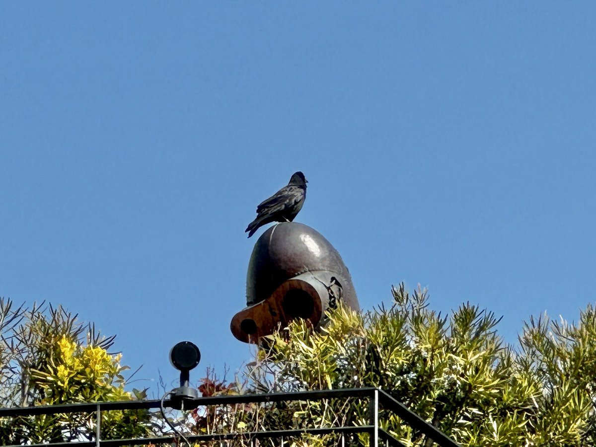 三鷹の森ジブリ美術館 Ghibli Museum, Mitaka on X: 