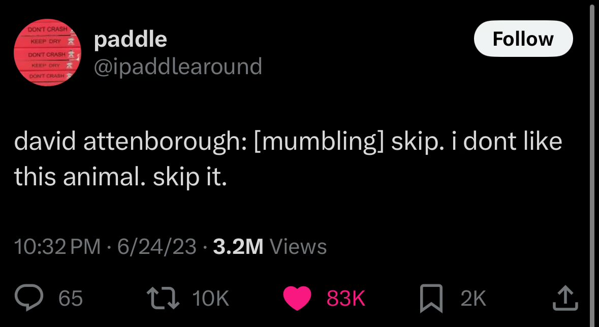 Jackie Daytona (@jack_dayto) on Twitter photo 