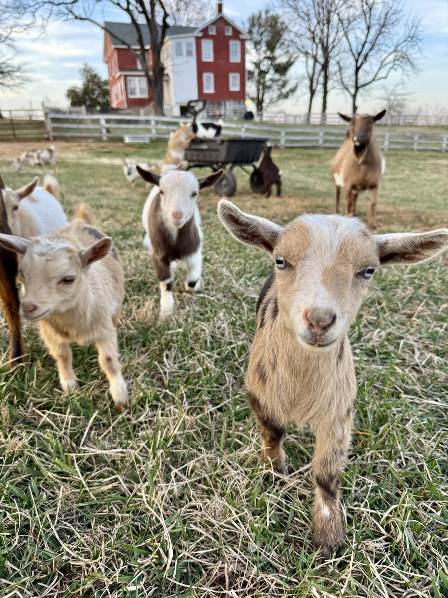 Joshua Rickmond tweet media