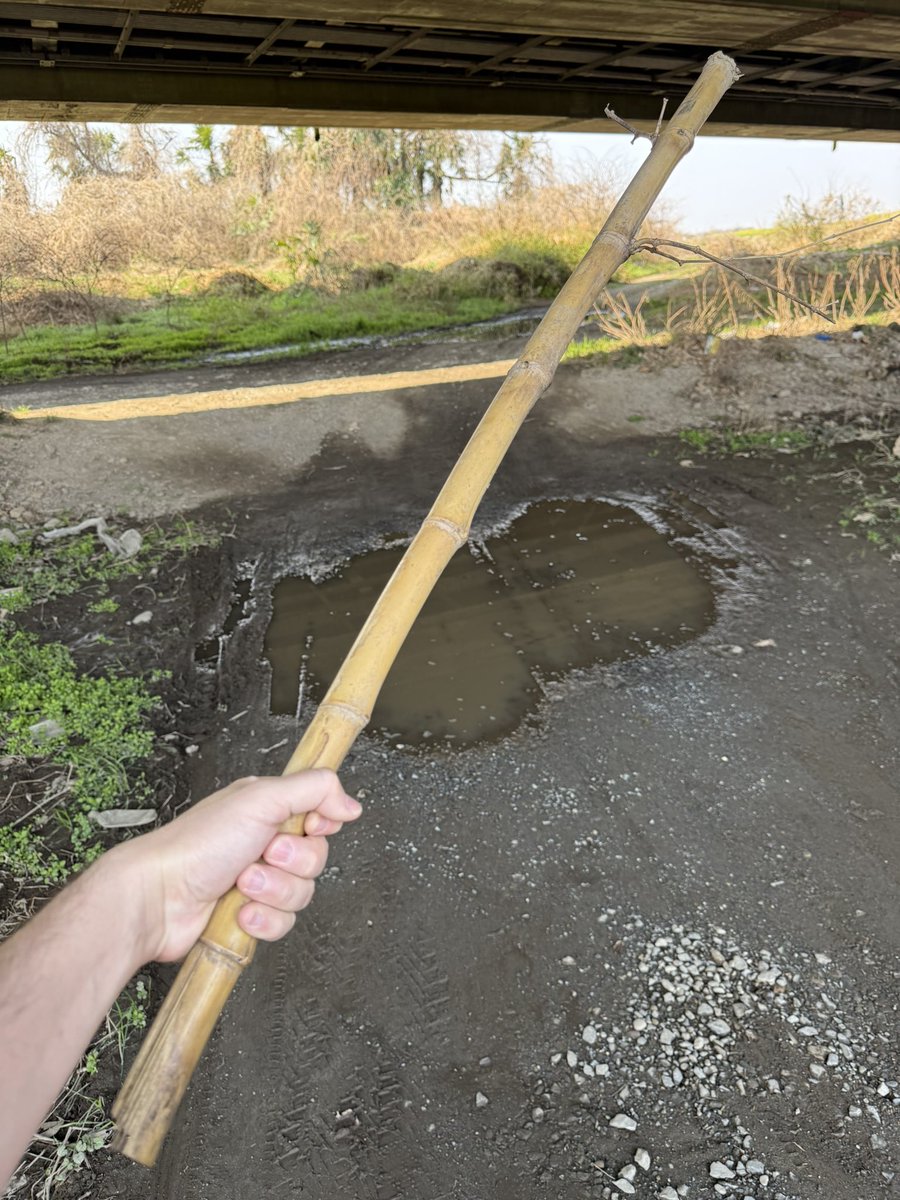 slime_machine's tweet image. found the stick to end all sticks