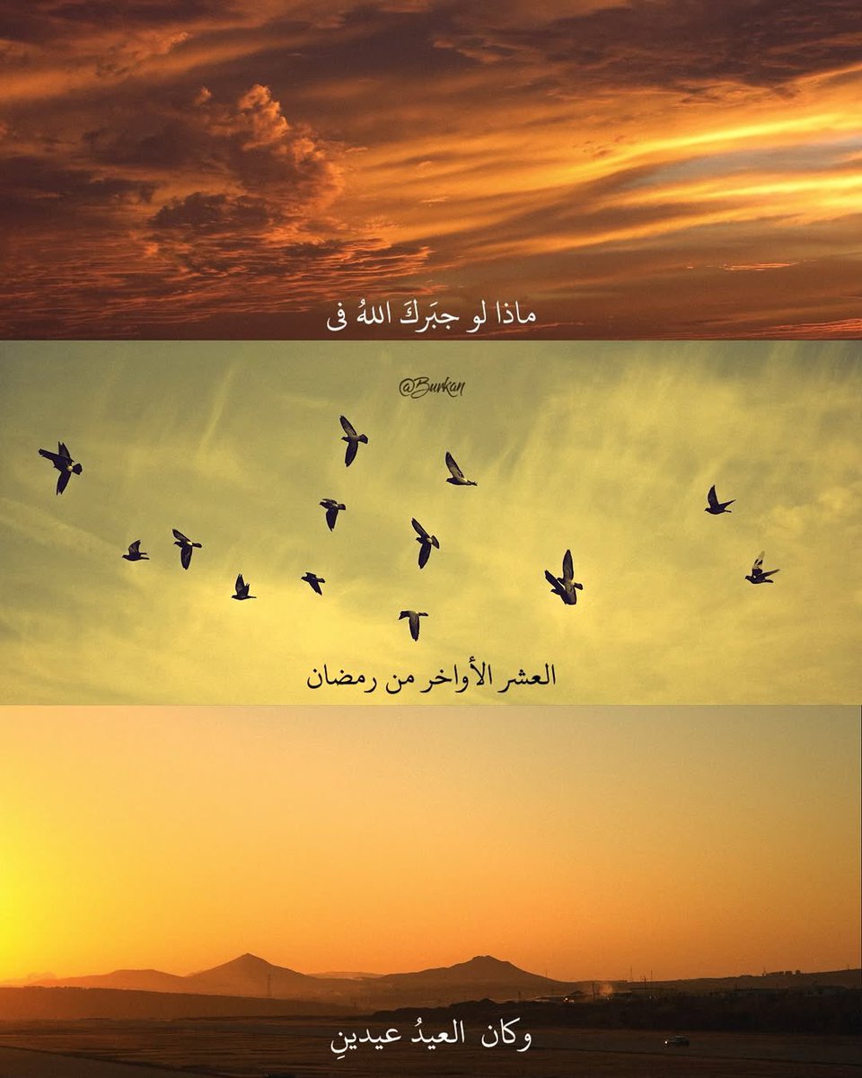 ماذا لو جبرك الله في العشر الأواخر 🤍