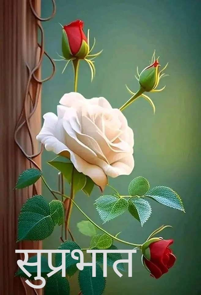 अगर आप स्वयं प्रसन्न हैं , तो ज़िन्दगी उत्तम है 

यदि आपकी वजह से लोग प्रसन्न  है तो
      ज़िन्दगी  सर्वोत्तम है..।।

#सुप्रभात 🙏