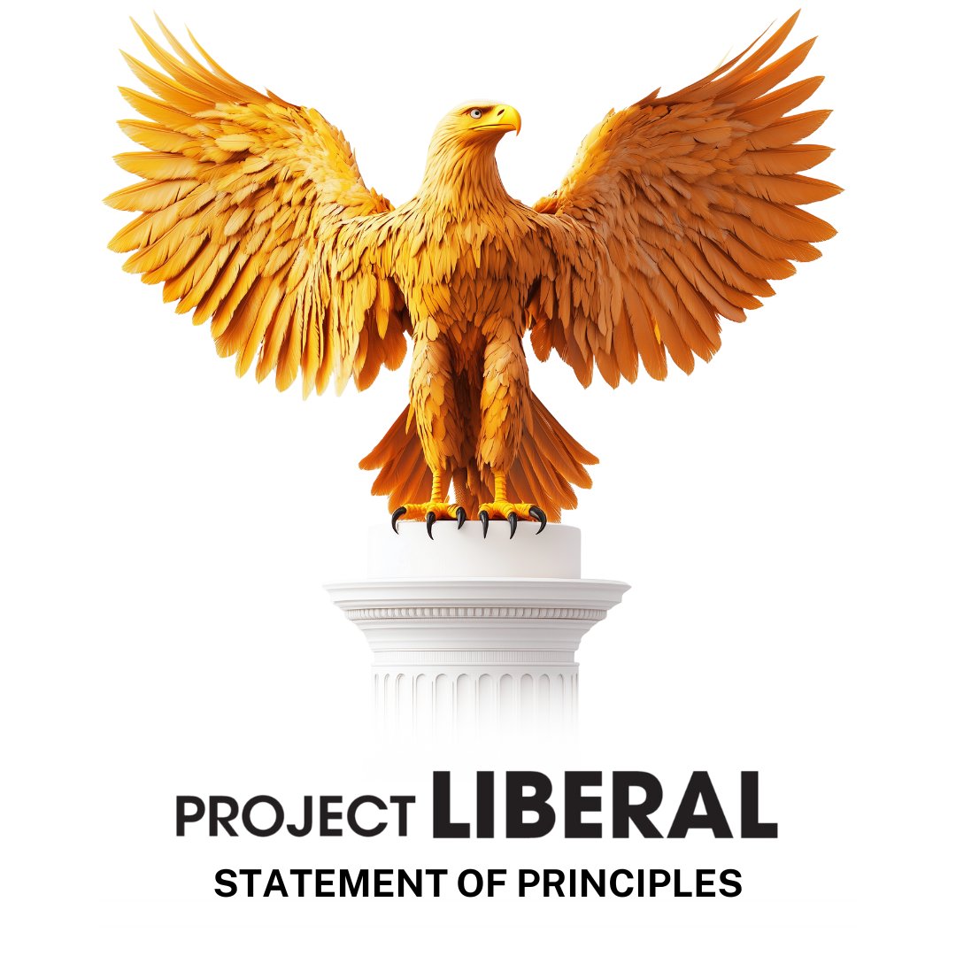 JoshEakle's tweet image. Governments must serve the people.
All people are created equal.
Free enterprise creates abundance.
Your life is yours to live.
Peace requires strength.
Truth exists and it matters.
The status quo is unacceptable.
👉 projectliberal.org/values/