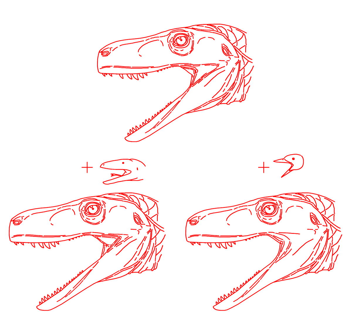 Quickly doodled three different interpretations of the new #exoparia muscle/ligament with Gnathovorax. Oral integument in extant birds &amp; reptiles is highly variable, so I consider all of these to be at least plausible. 

Top is a general "middle ground"