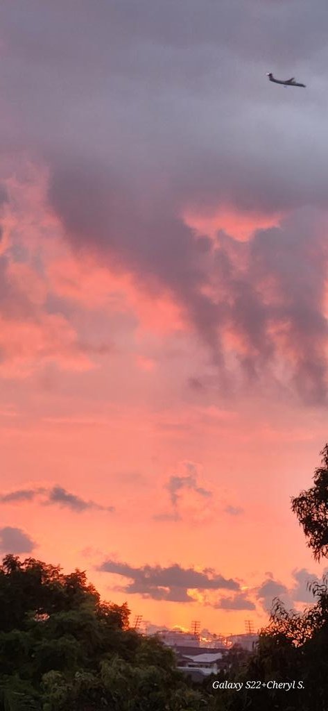 CherScheff's tweet image. Blink, and you would've missed this...
Bright start to Sunday Sunrise 
#Sydneyskies 
Expand for full view😊
#Sydneyweather 
Good morning 🧡🩷