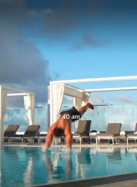 infarruco's tweet image. 4 Minutos En El Puto Aire. Mi Cabra Personal 🐐👑