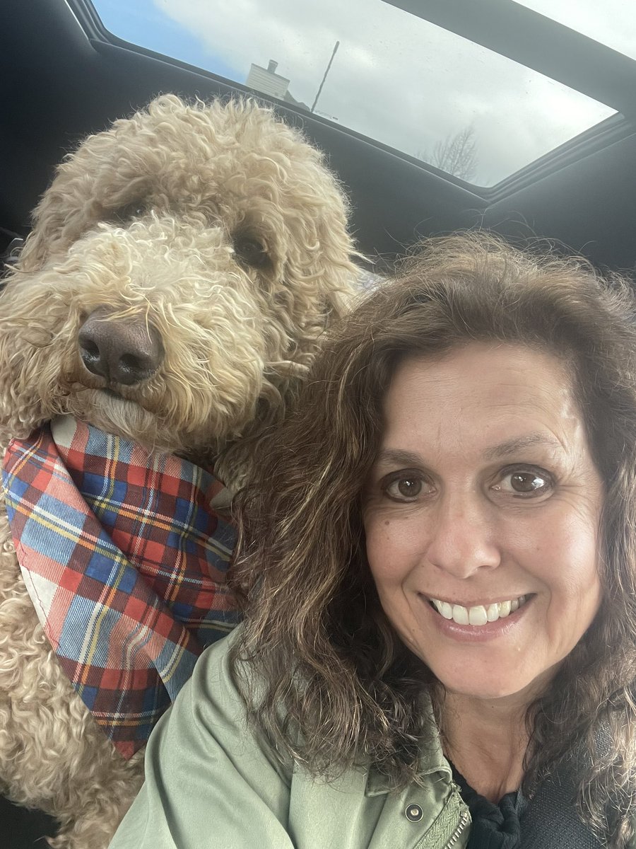 MidwestMamaG's tweet image. My Dog  Georgie says VOTE !!🇺🇸@TeamSchimel @TPAction_