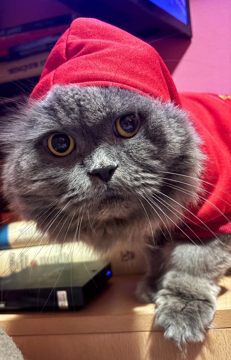 nema zajebancije s ovim mojim