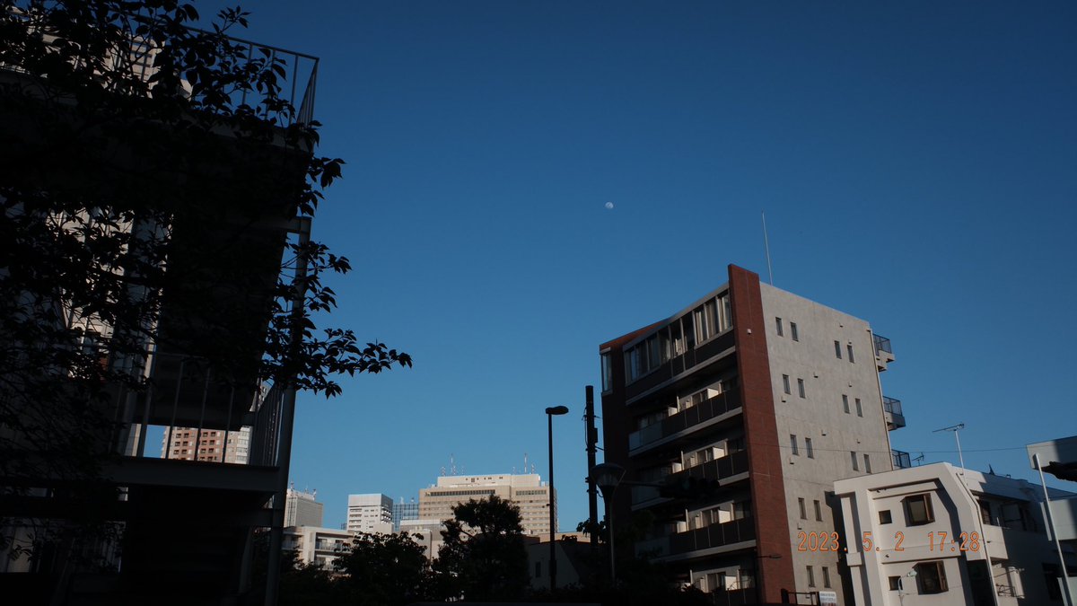 Dr Roger Blue Stabbins (スタビン ロジェ ブルー) tweet media