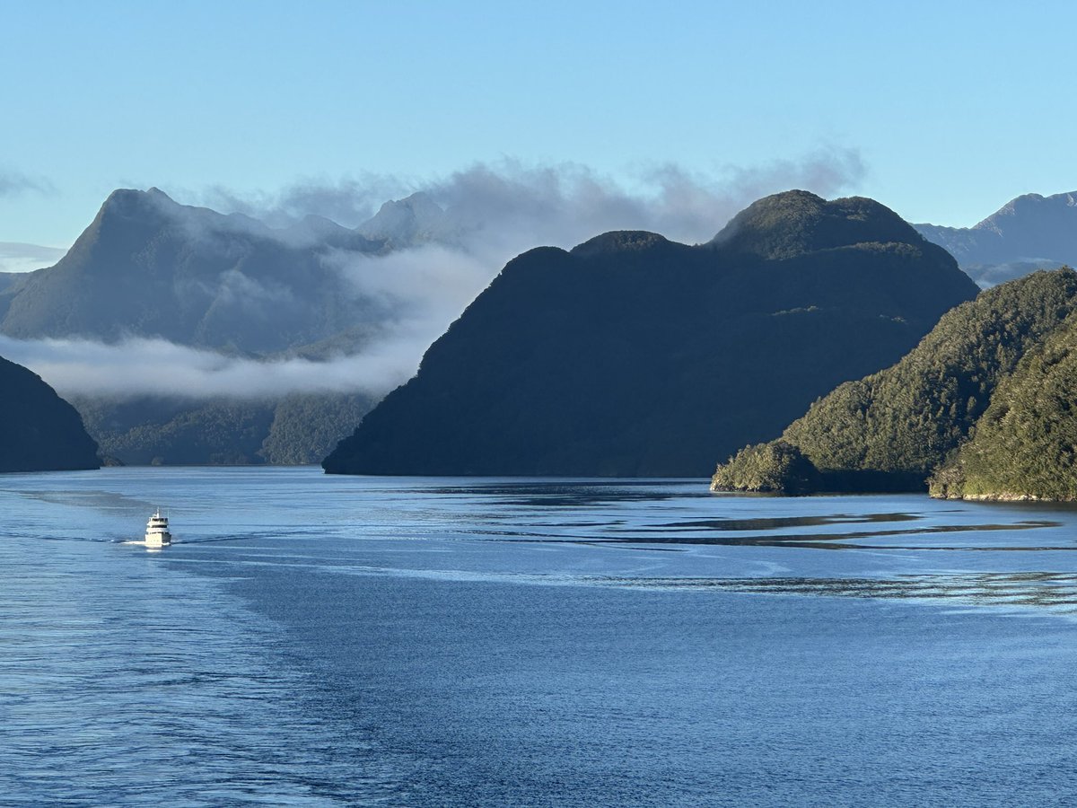 ADifferentLight's tweet photo. Good morning friends! #duskysound #fiordlands #newzealand #travel #photography https://t.co/jw6AQ7vhnR