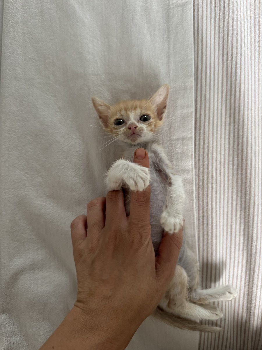 <a href="/nanainseul/">Nanainseul</a> No nada 
Duerme arriba mío ahora mismo