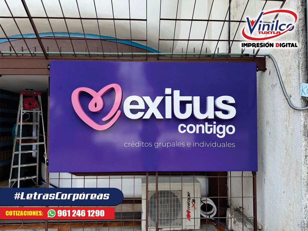 Vinilco Tuxtla tweet media