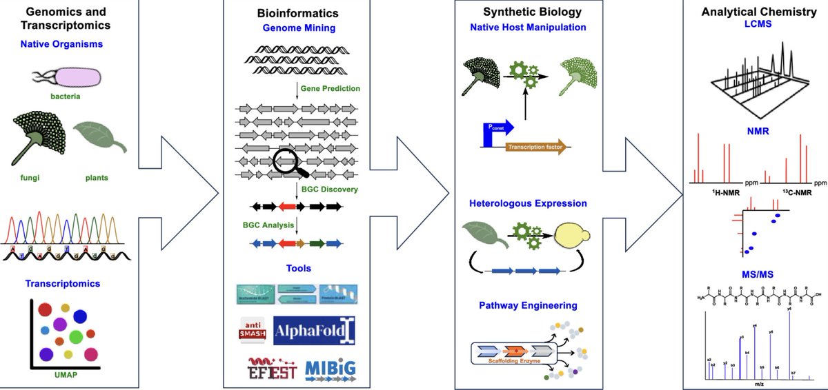 paperperday's tweet photo. Synthetic Biology in Natural Product Biosynthesis

https://t.co/z2H0Nmi59U https://t.co/W0zcbFbVvP
