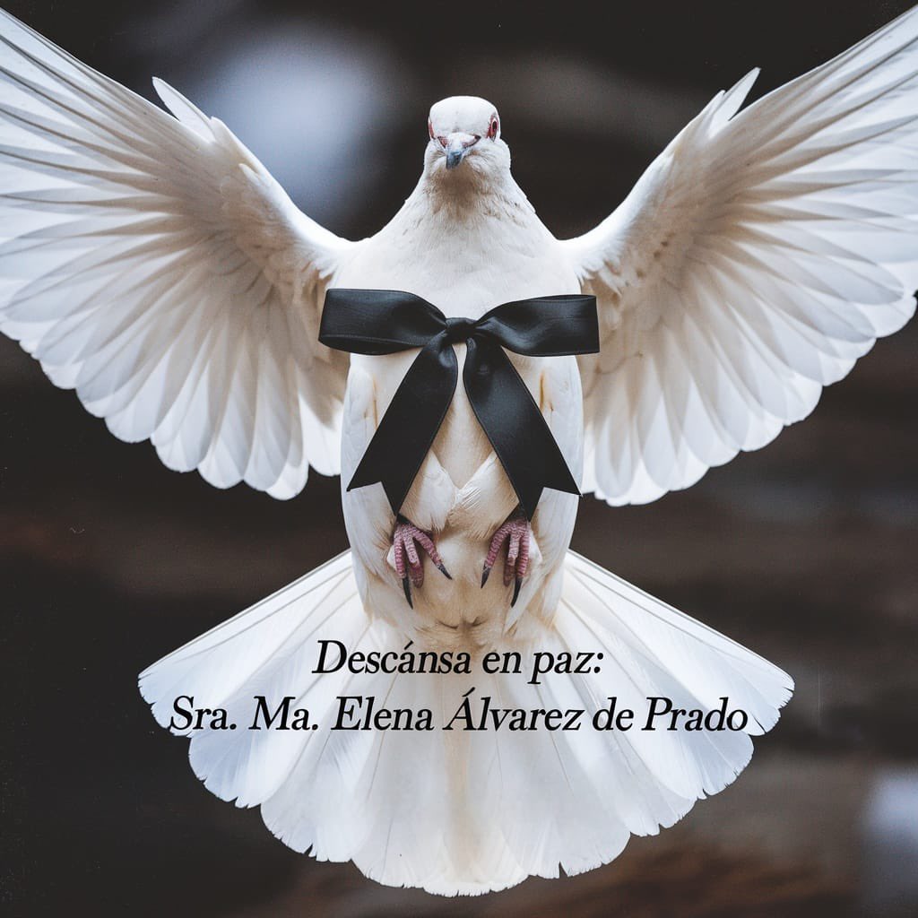 Estimado Gonzalo, recibe mis más sinceras condolencias por el sensible fallecimiento de tu querida madre la Sra. Ma. Elena Álvarez de Prado, te acompaño en este difícil momento.🙏🏻