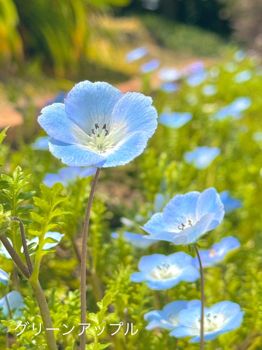 綠意家園 讓每一份愛成為幸福的開始.nex