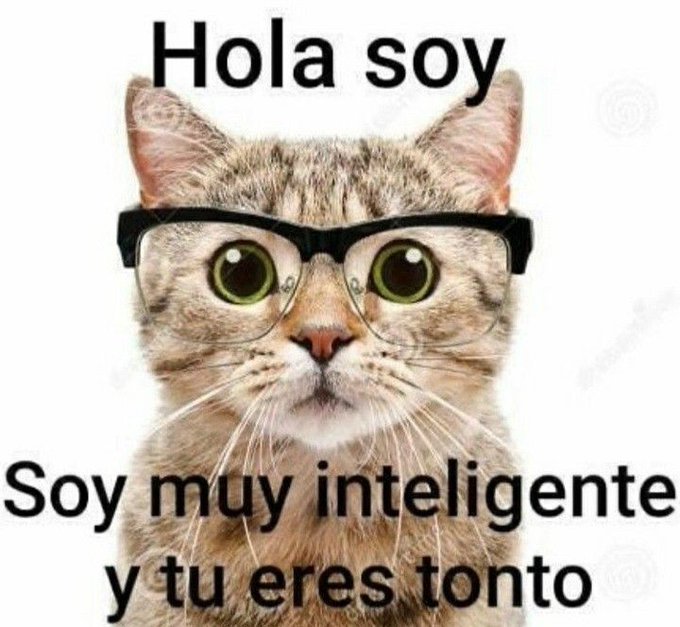 GASK🇲🇽 (dead lmao) tweet media