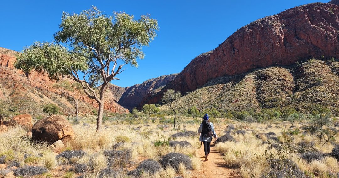 Happy #NationalEucalyptDay! Today we celebrate Australia's iconic eucalypts - all 840 of them!

This year, we're honouring the uniquely Australian landscapes where eucalypts have always been the backdrop to holiday memories.

Join the conversation on the #NationalEucalyptDay2025