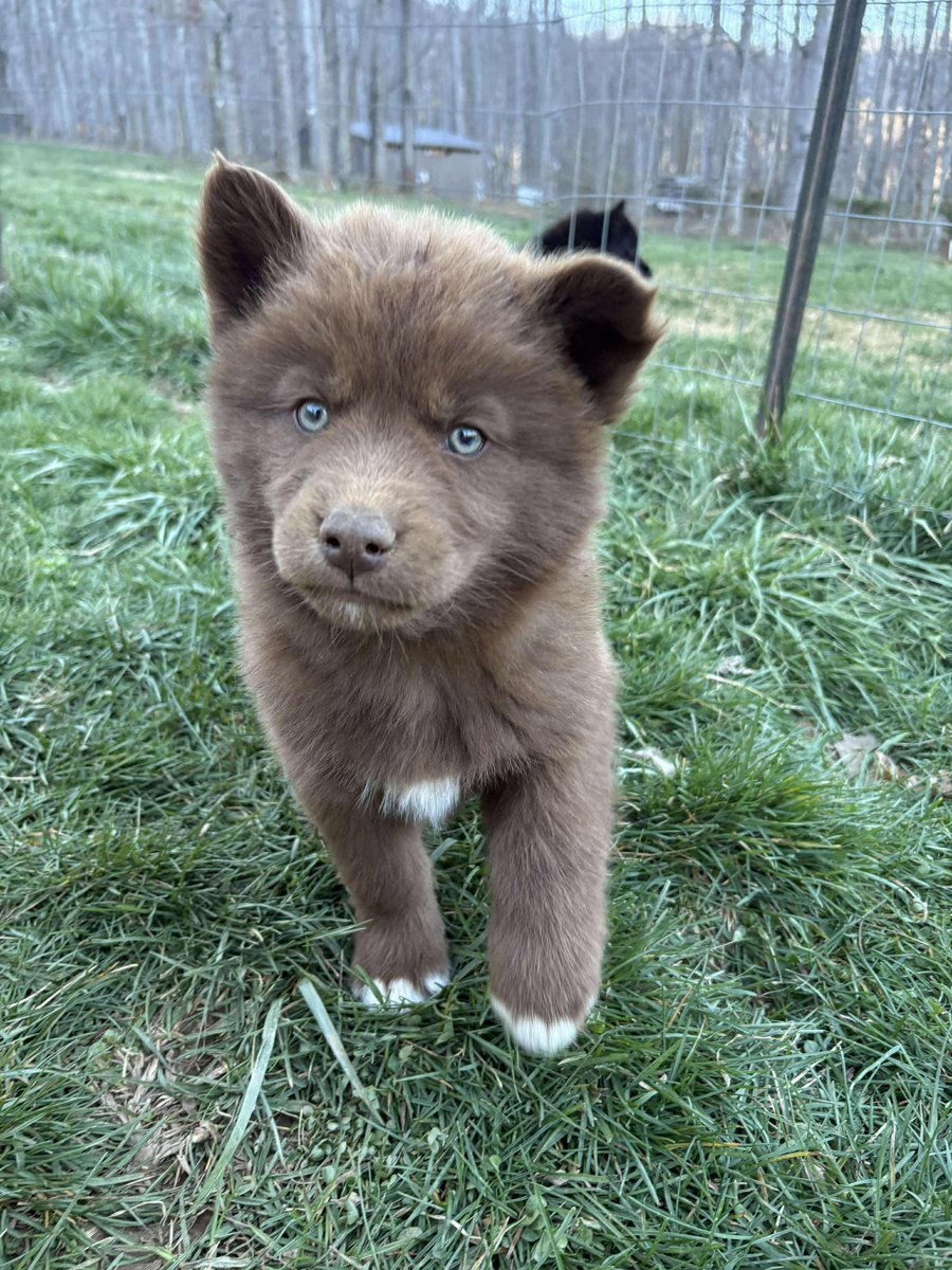 Mitch West tweet media