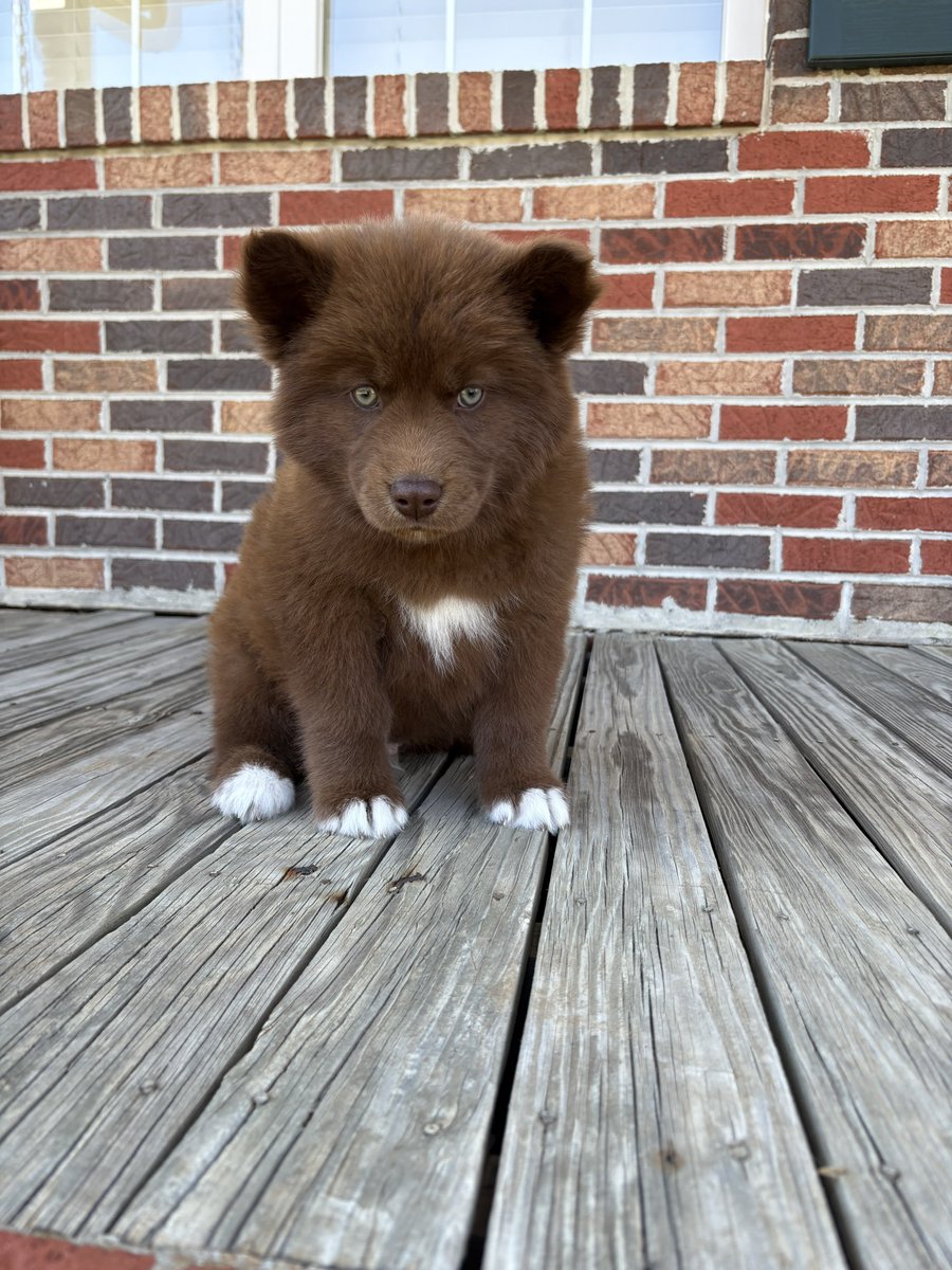 Mitch West tweet media