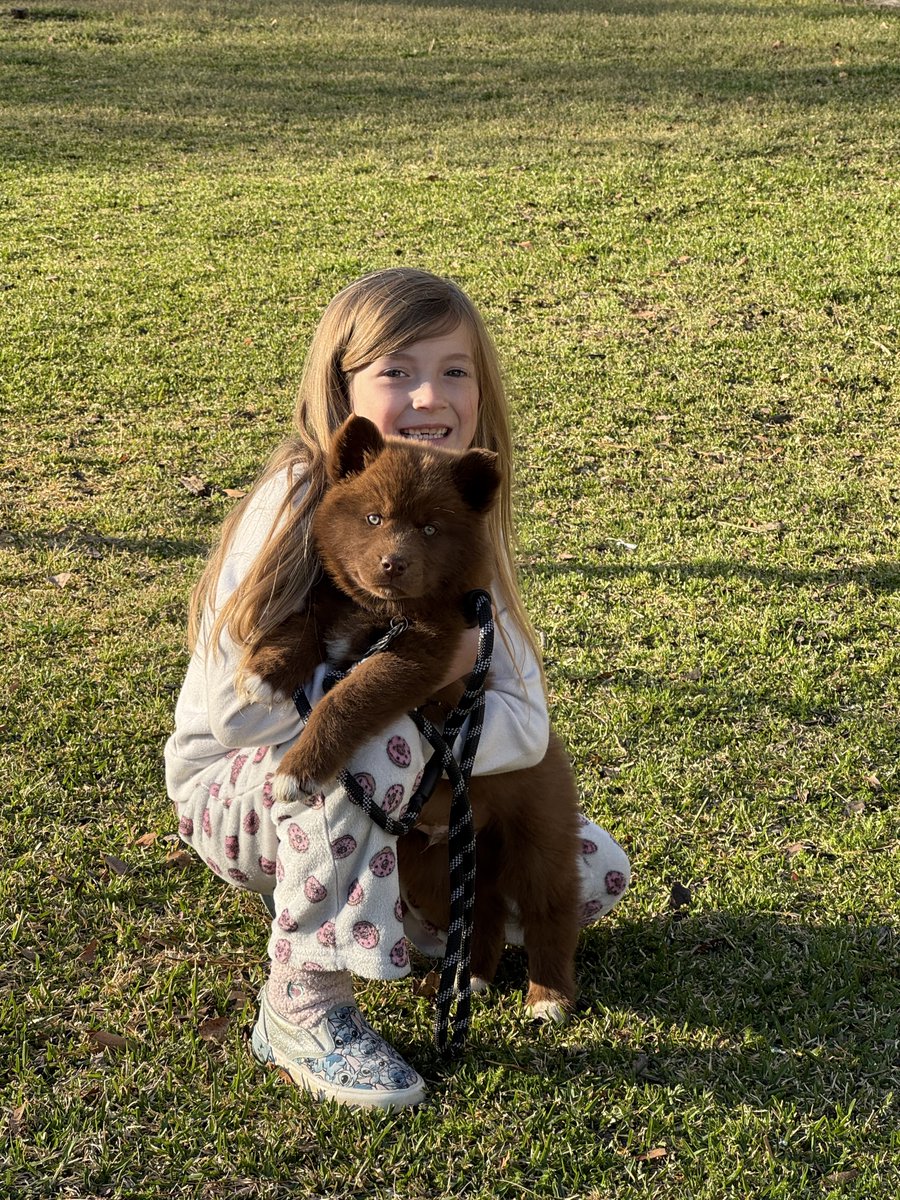 Mitch West tweet media