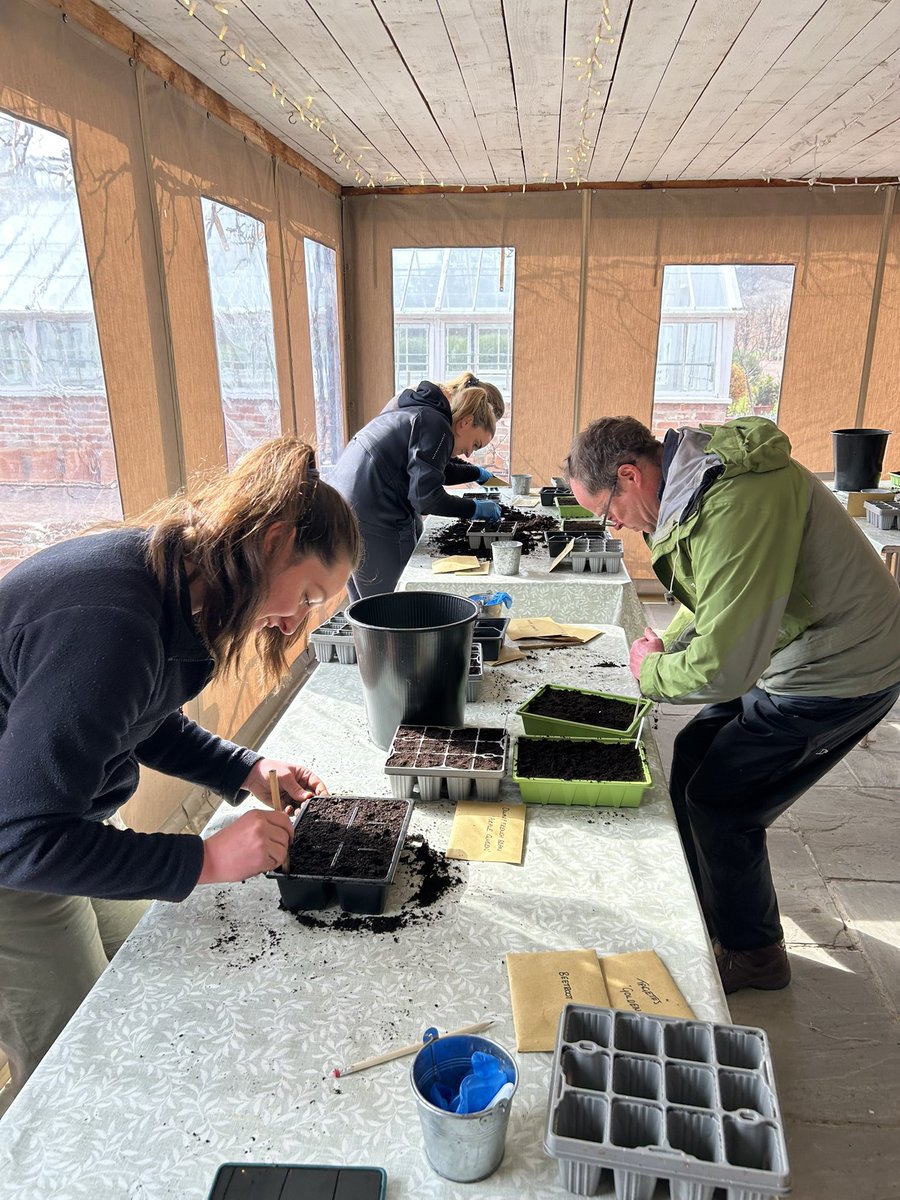 Our kitchen garden workshop with lovely people today 🙌😀