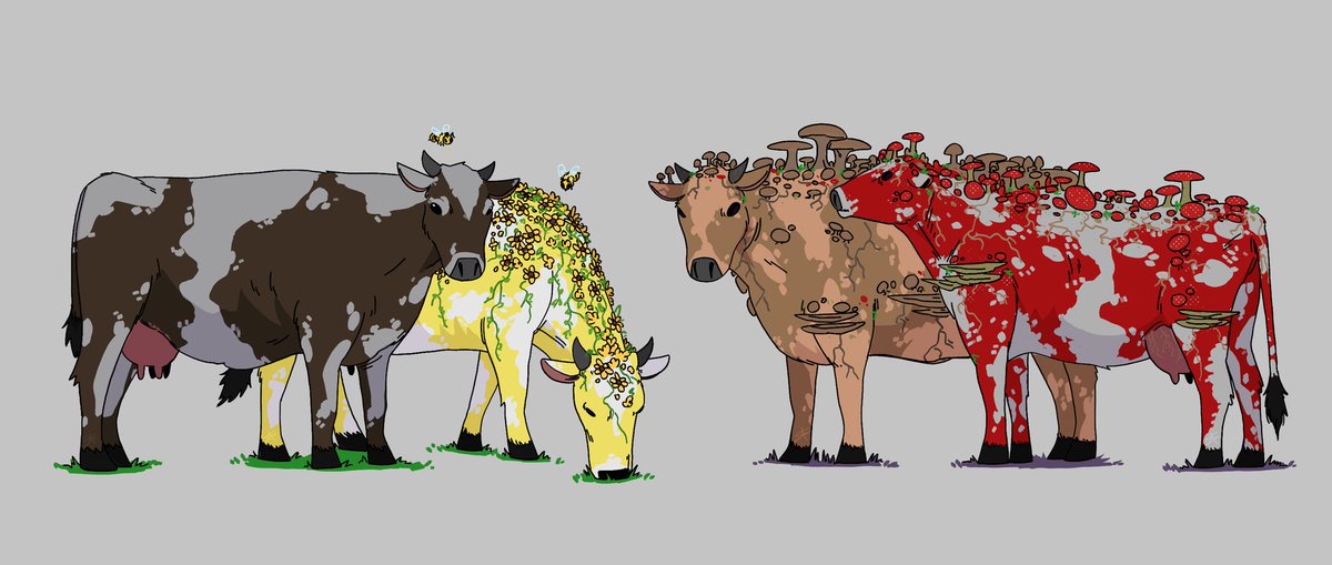 Alex🐟 | 🌟 tweet media