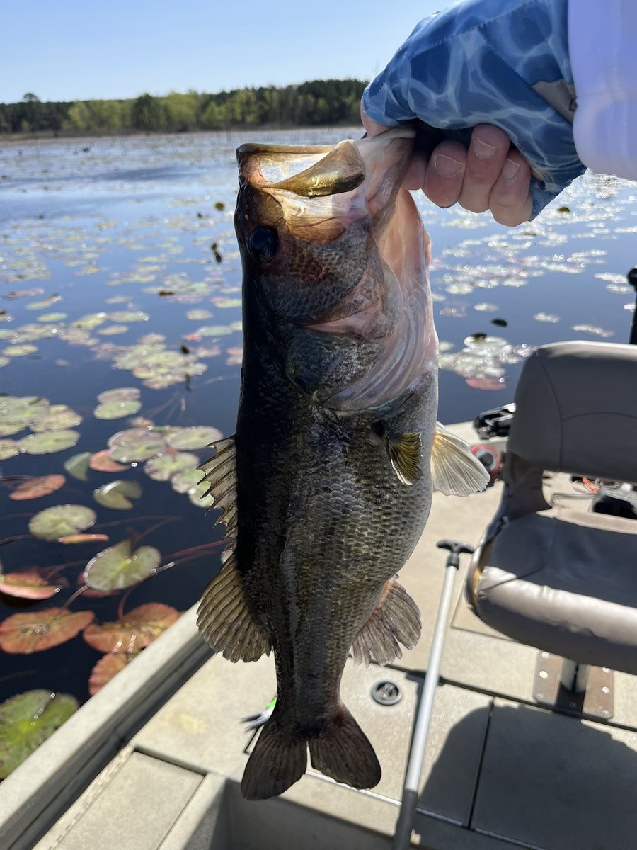 Franklin Sullivan tweet media