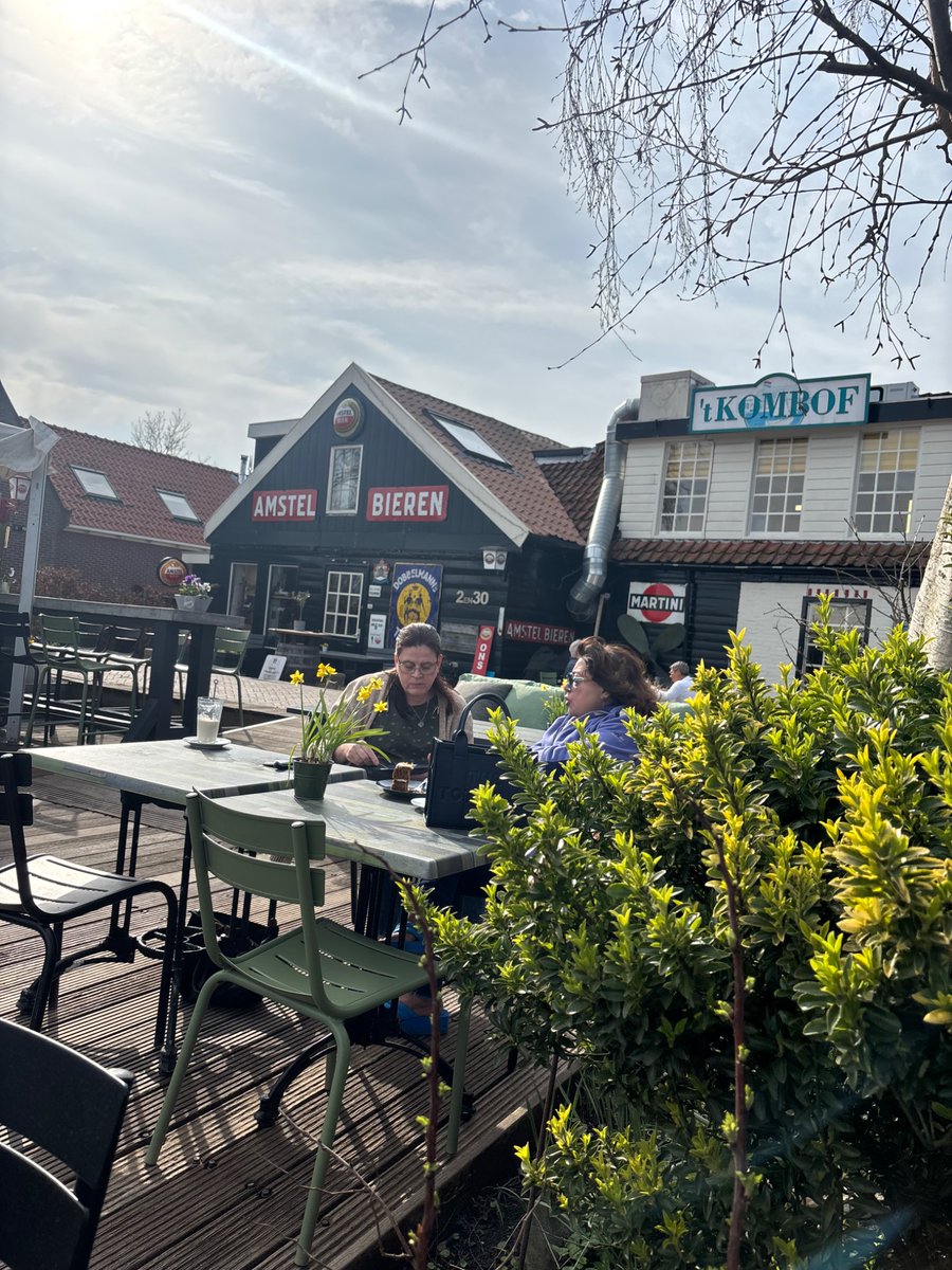 Arlene DeMita tweet media