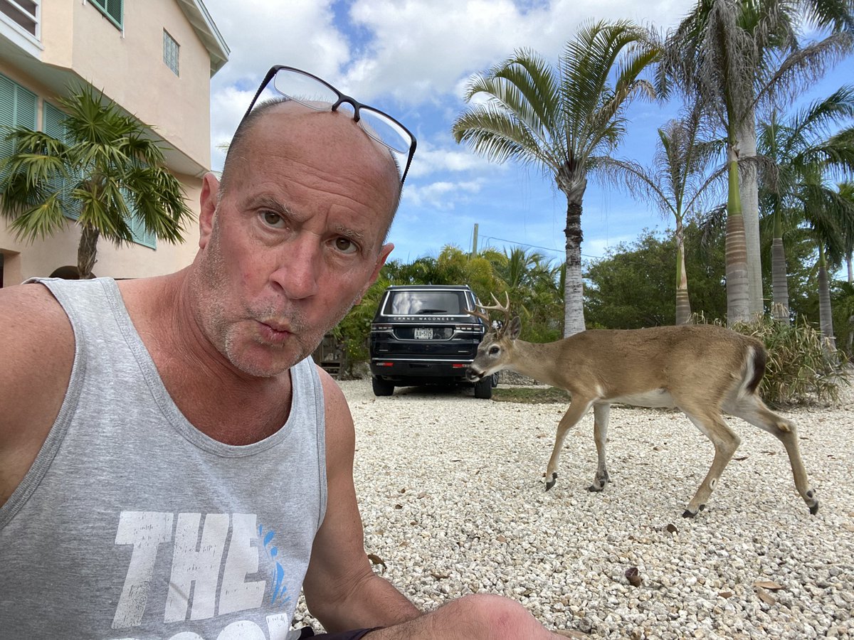 RacingToDisney's tweet photo. My new friend. #KeyDeer https://t.co/3OV8WA5Fla