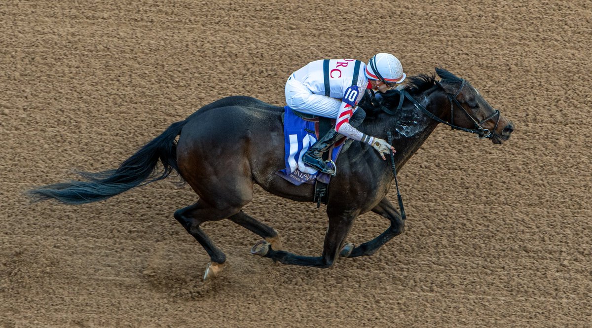 A story of love &amp; "Payne." Still going strong at age 10, Payne demolishes $50,000 claimers in R9 Sat. to become the 1st 4-time winner at the 24-25 Oaklawn meet. <a href="/keithasm7/">Keith Asmussen</a> (Payne is among his all-time favorites) for Ingrid Mason &amp; <a href="/ILoveFastHorses/">Danny  Caldwell</a>. Winner goes to David Jacobson.
