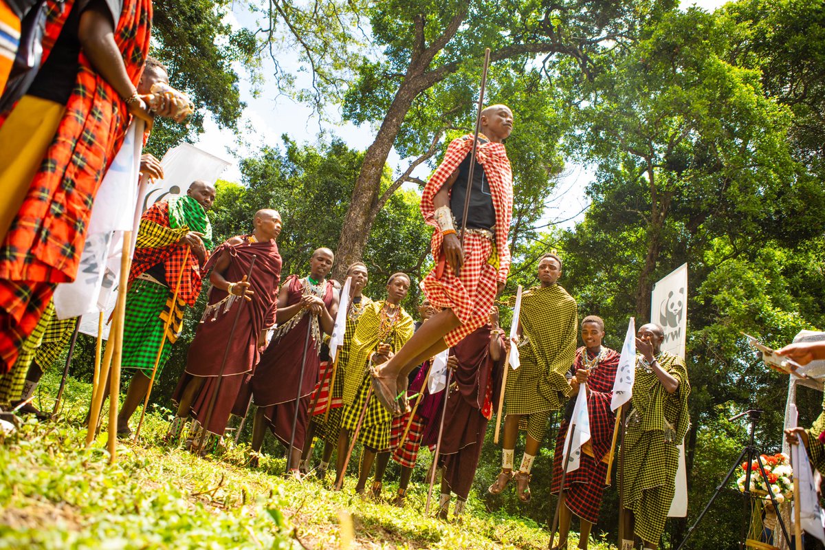 WWFTANZANIA's tweet photo. 🚶♂️🌍 Walking the Talk for Earth!
This #EarthHour, WWF Tanzania took 60 minutes to walk for nature—reducing our footprint and raising awareness for a healthier planet. 🌱💚 Every step counts!
How are you making your hour matter? ⏳✨
#BiggestHourForEarth #WalkForNature https://t.co/OUcHprVupU