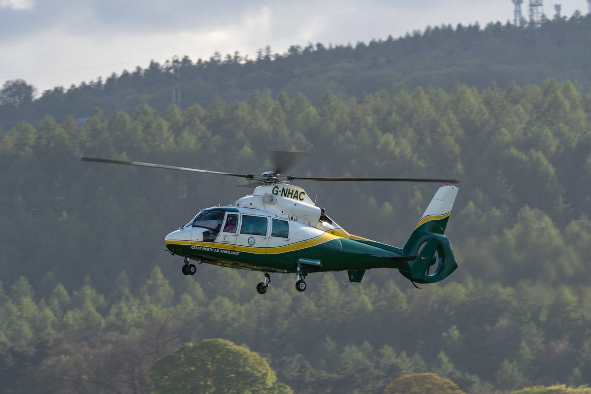 Declan morland tweet media