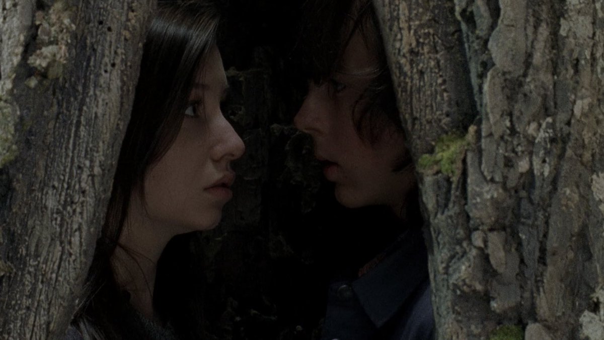 TWD Universe tweet media