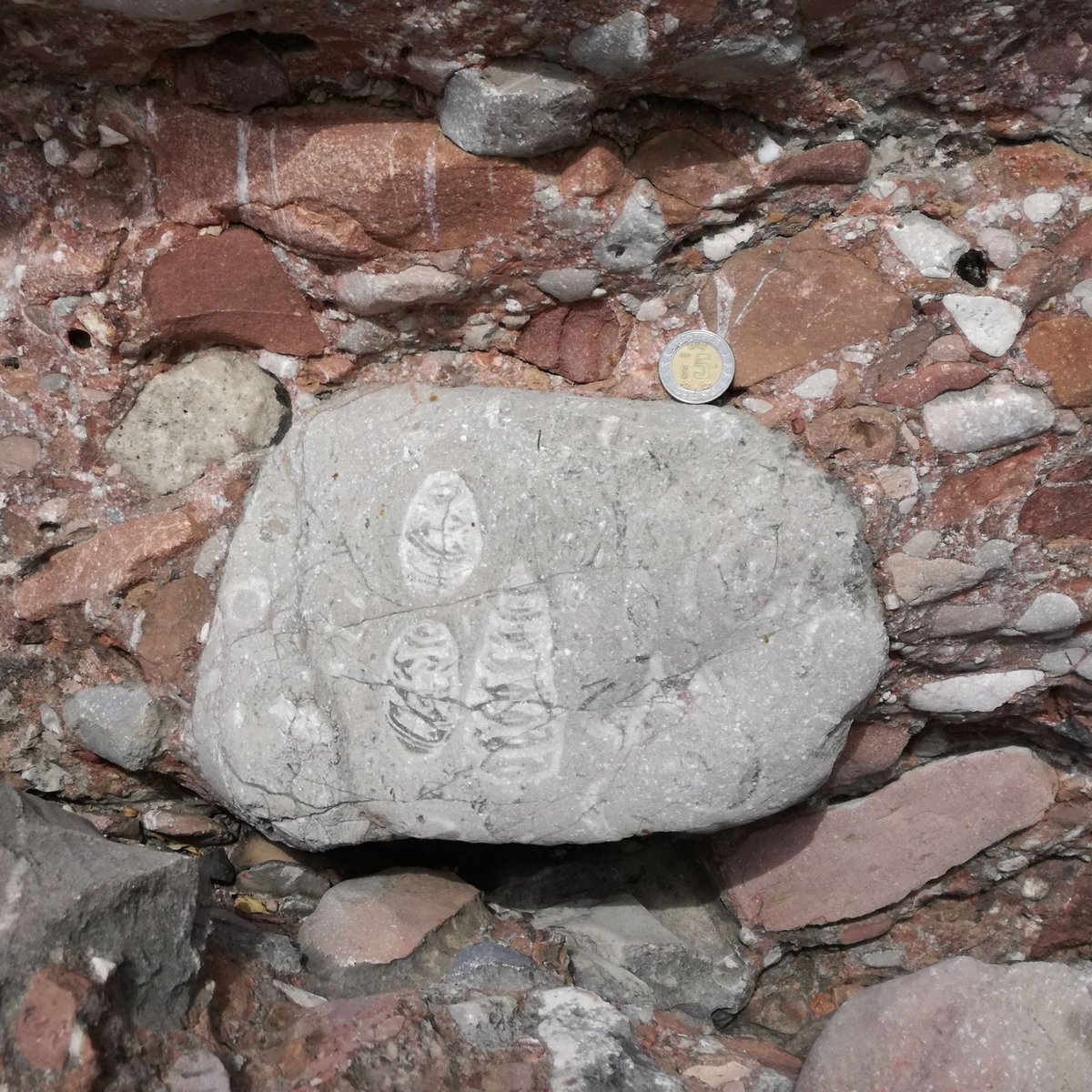 El Viaje de una Roca: Un Testigo del Pasado Geológico de #Puebla 🇲🇽

Esta es la historia de una roca ubicada en la base de un pequeño río entre los poblados de Tecali de Herrera y Ahuatepec, Puebla. Acompáñenme a descubrir cómo esta pequeña roca nos narra la fascinante historia