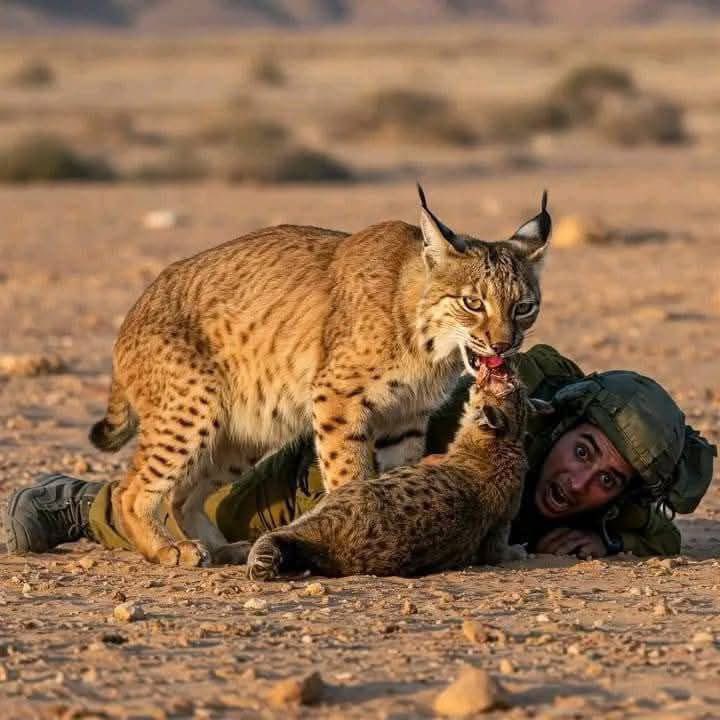 وَمَا يَعْلَمُ جُنُودَ رَبِّكَ إِلَّا هُوَ"🇵🇸❤️