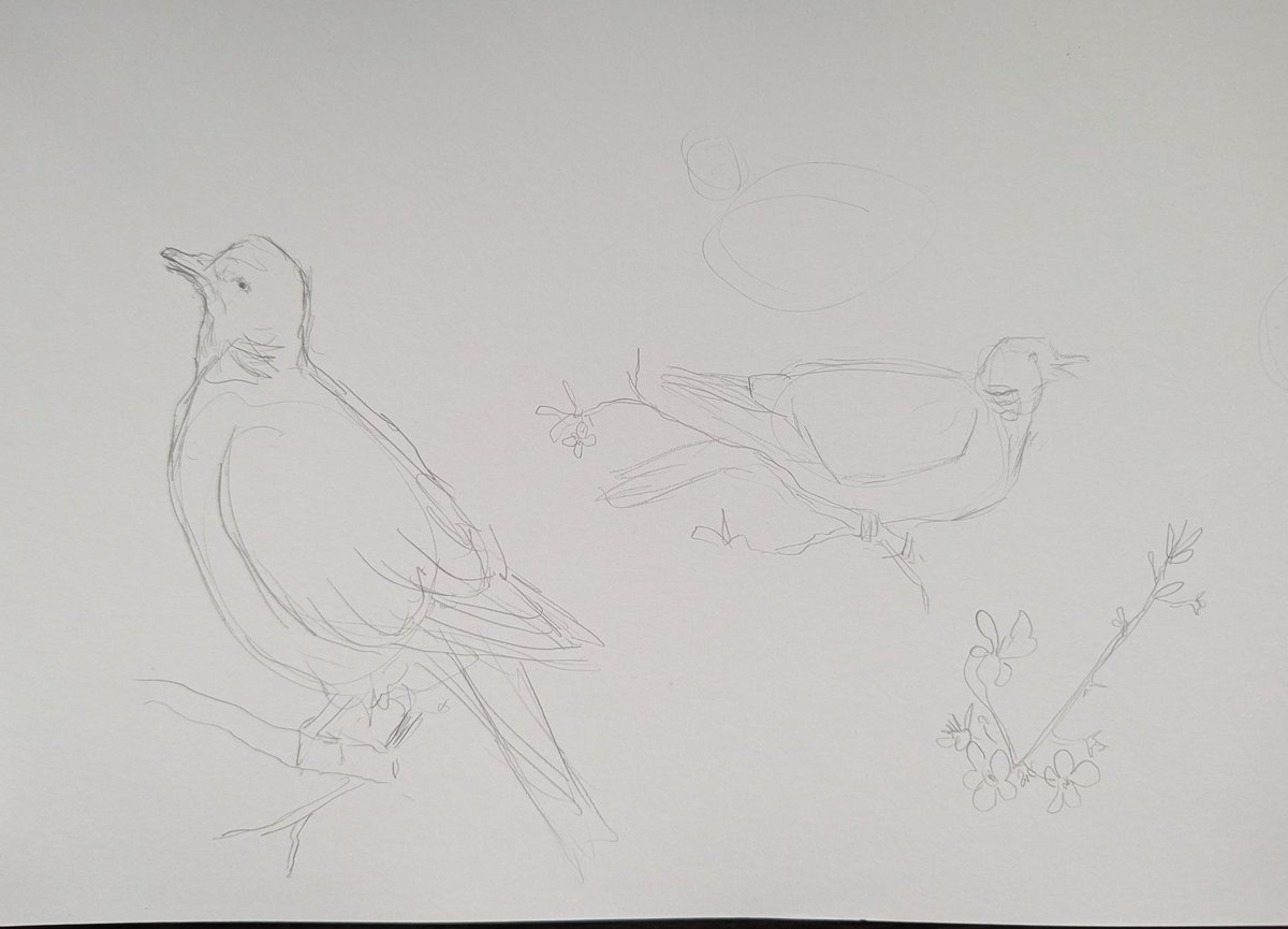RobynHickman97's tweet photo. Some great exercises and advice has given me more confidence to get out there and develop my skills further. He's looking to start offering lessons in the near future, so if you're interested let me know and I can put you in touch!  2/2 https://t.co/oBuPtOvicL
