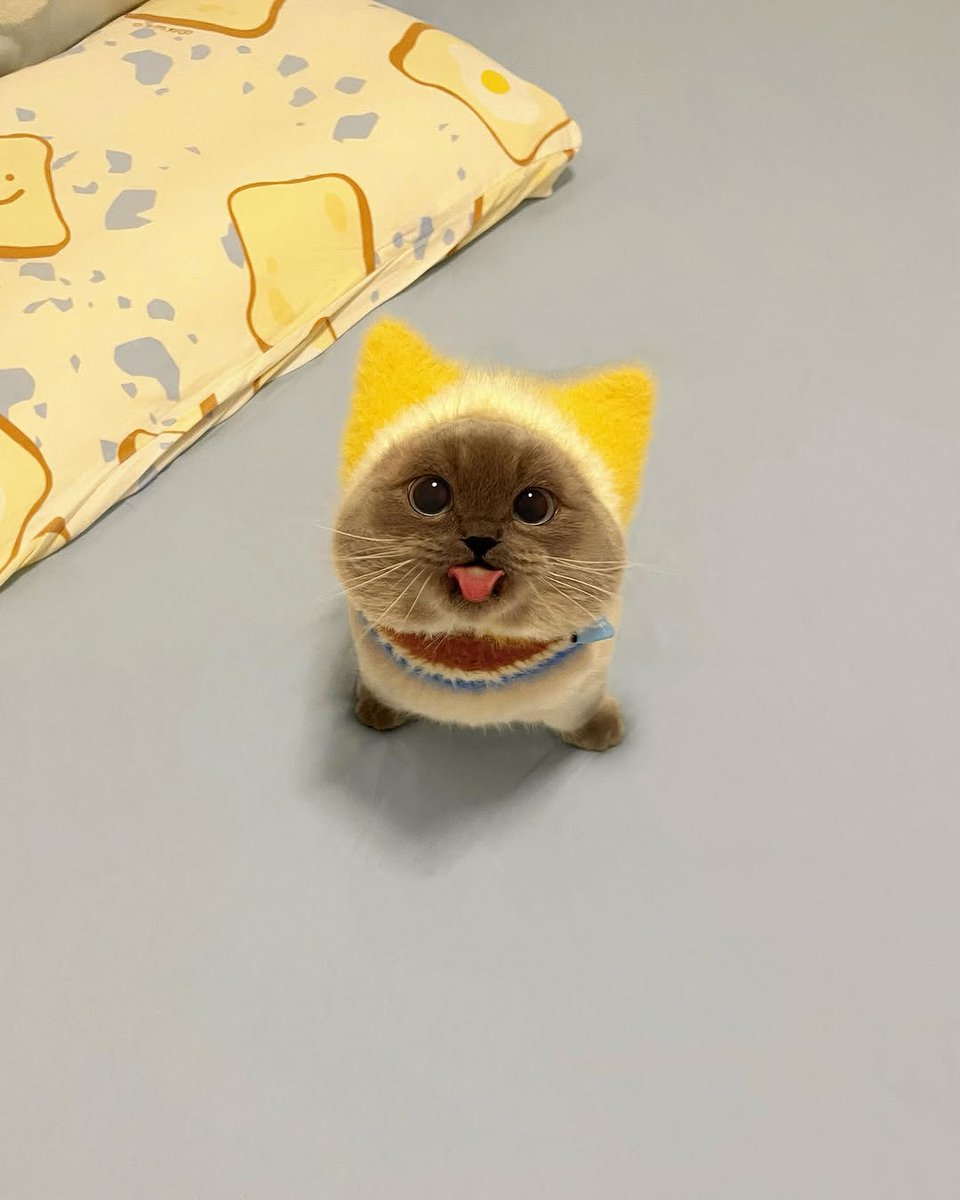 smol 😛