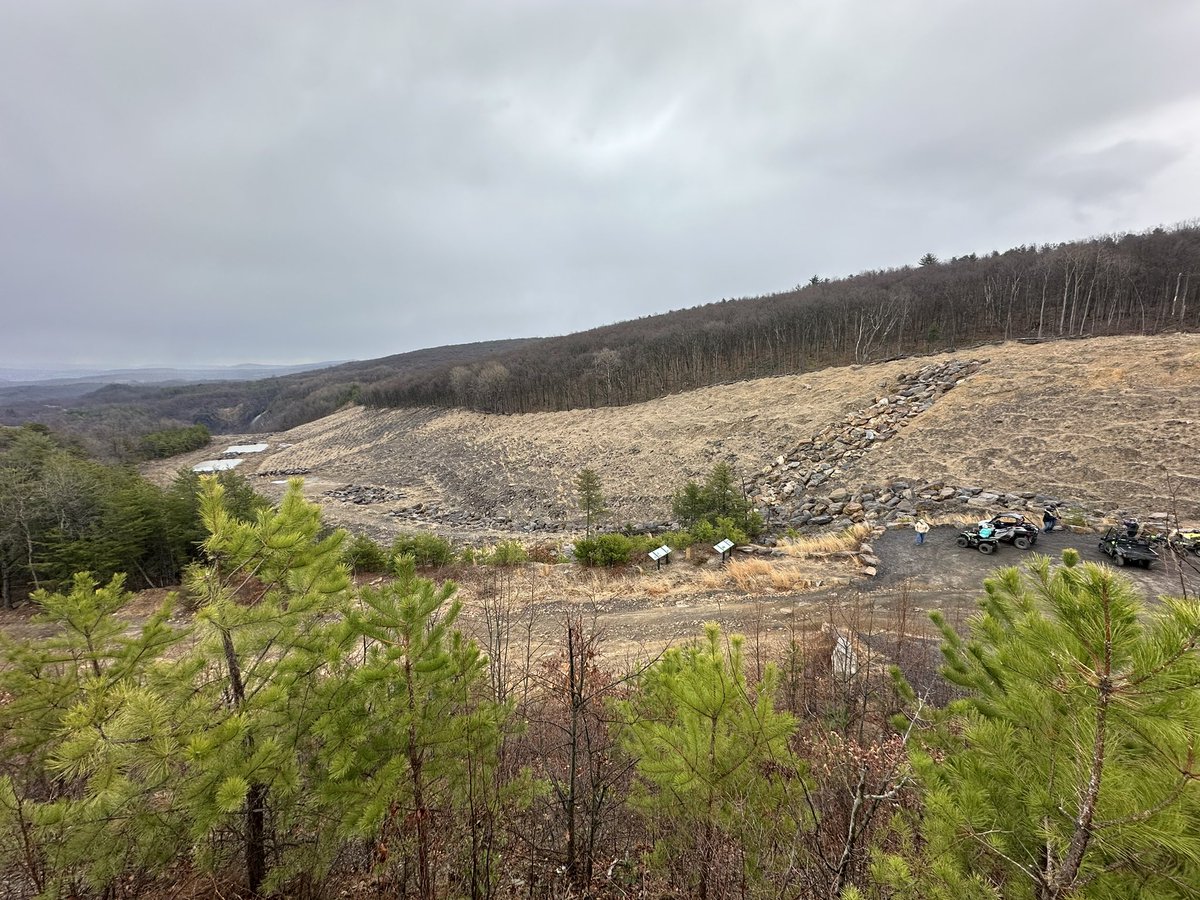 DevOptimals's tweet image. Time of my life with the wife