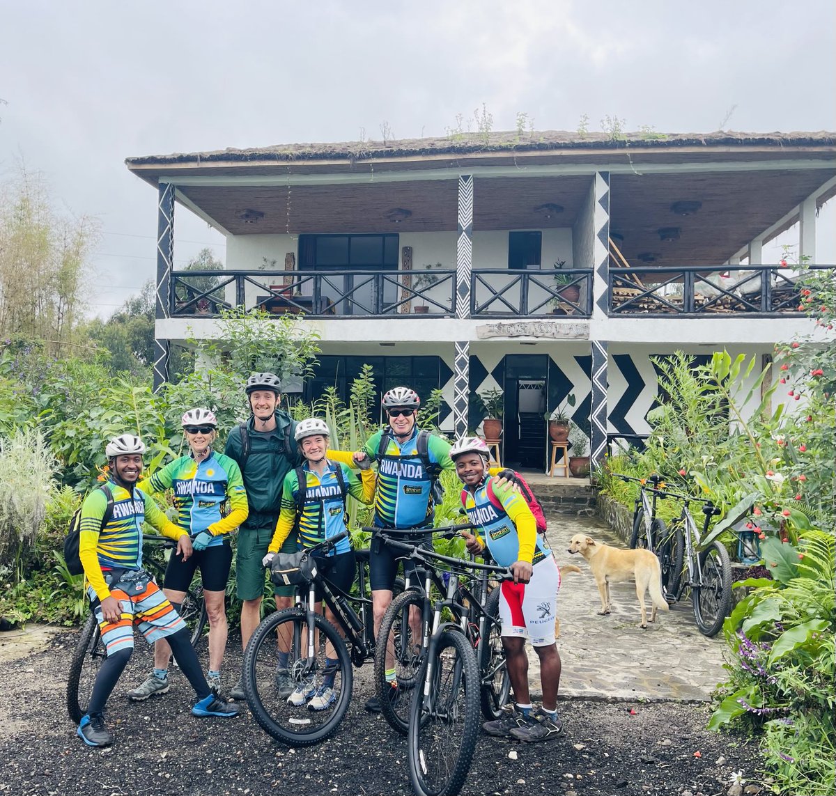 Lava Bike Tours tweet media