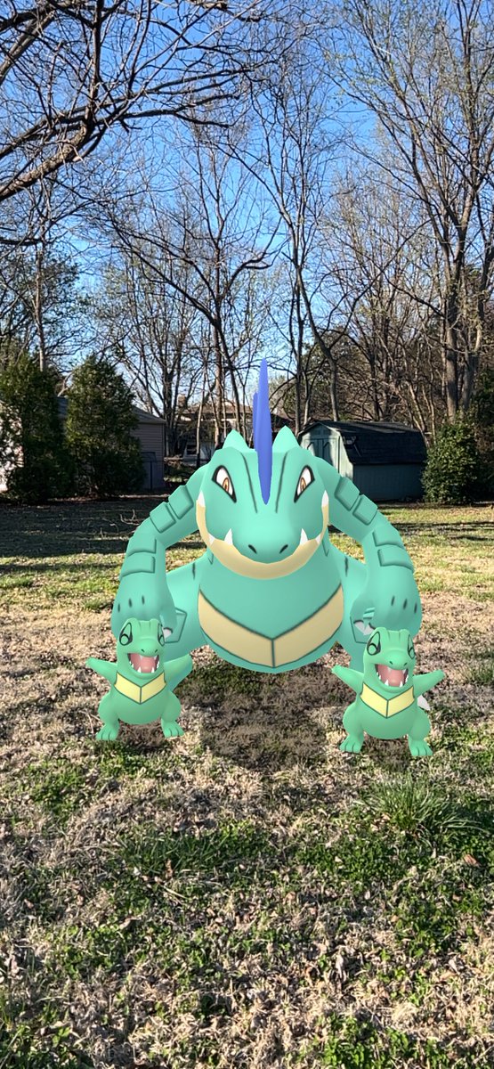 SmokeBoats's tweet image. Papa Gator and his two kids
#PokemonGo #Go_Snapshot #GOsnapshot #PokemonGOCommunityDay
