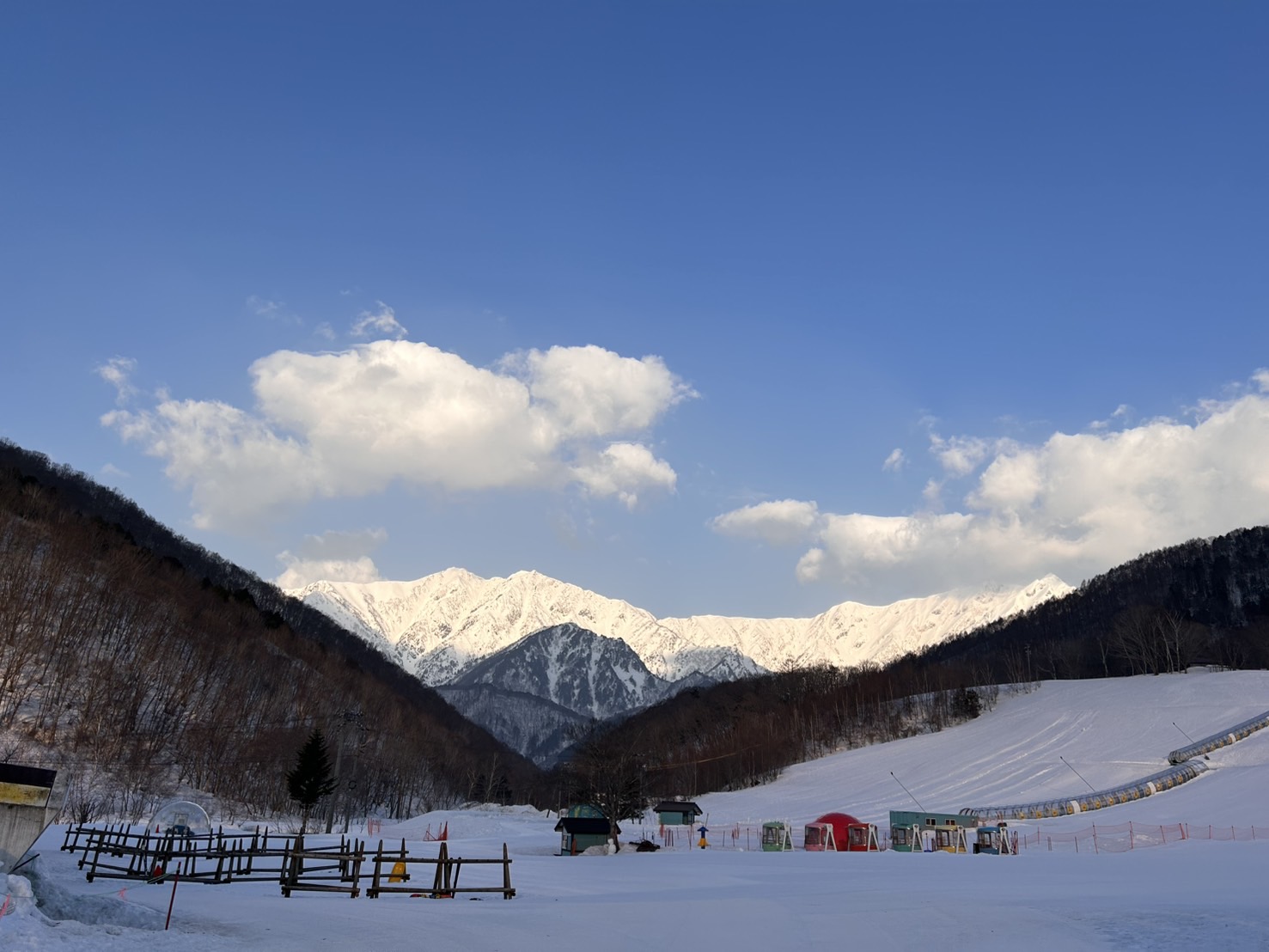 ファミリースキー kastle-zx-alpha-skis-jrs-7-5-