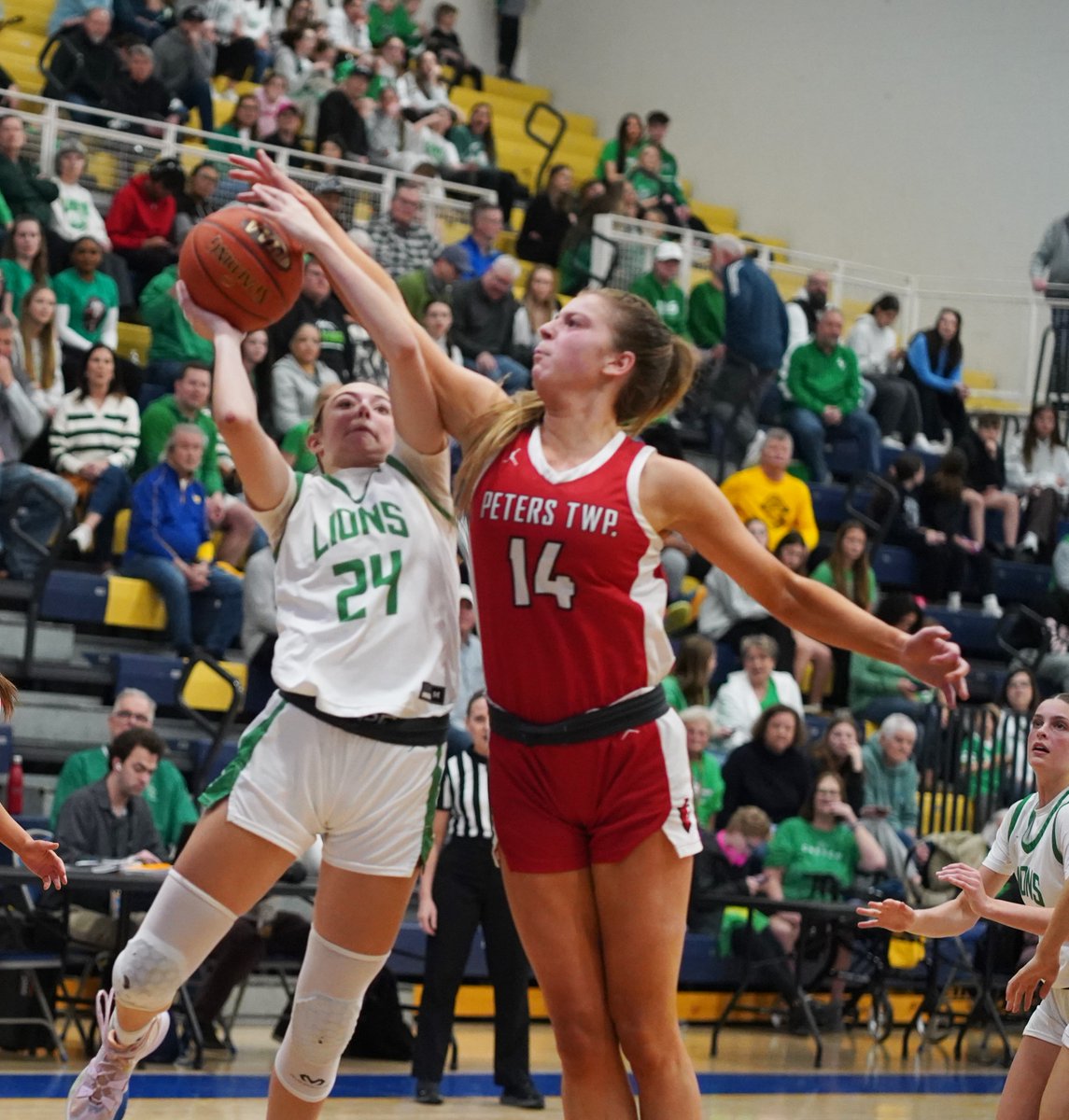 Will McBride tweet media