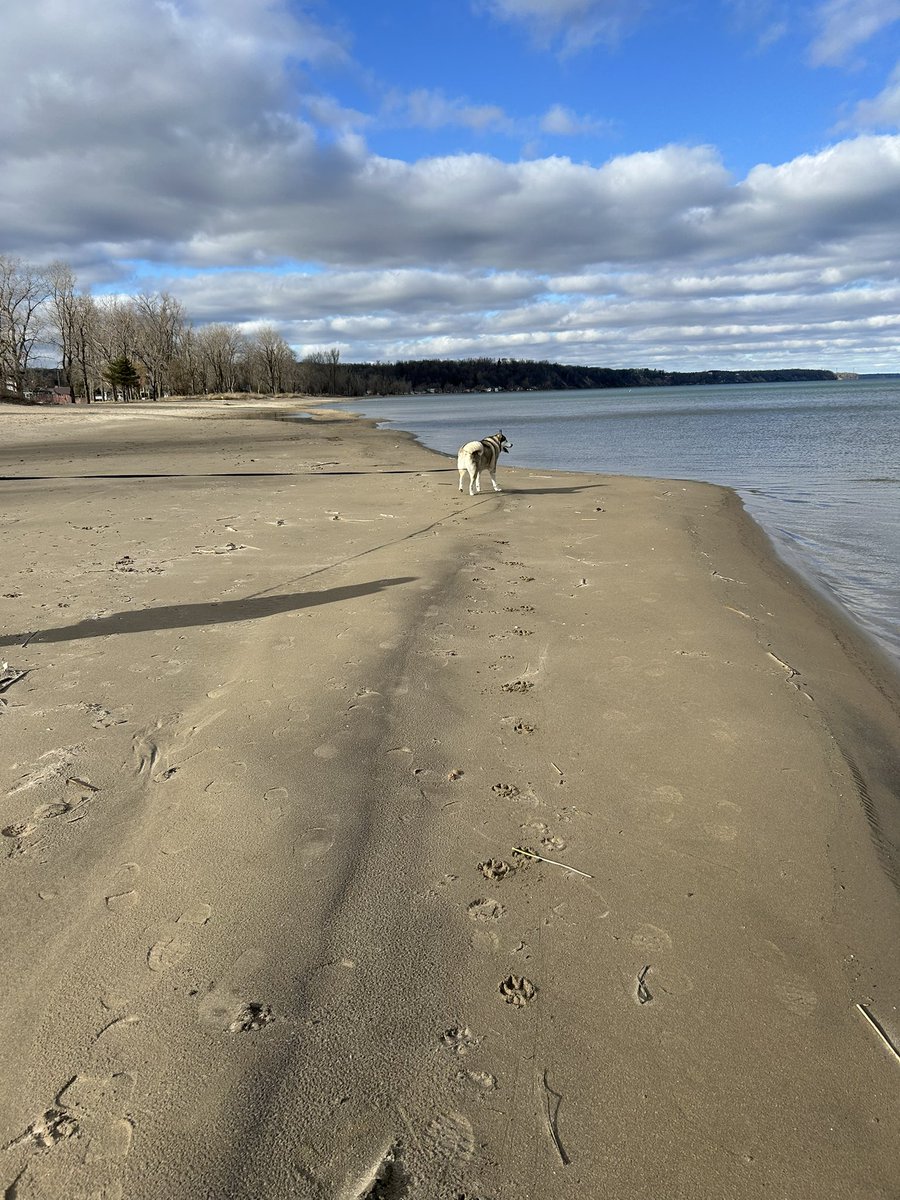 Any beach, any time of year.