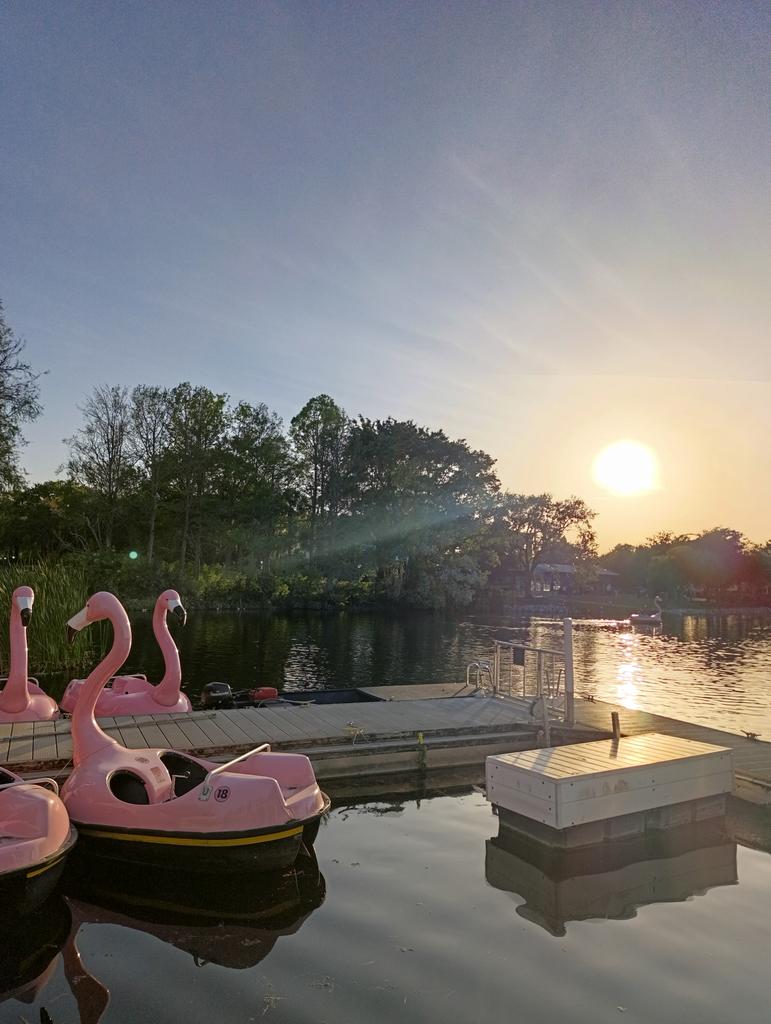 No sé cuánto más voy a vivir, pero si sé cómo. Thanks God!