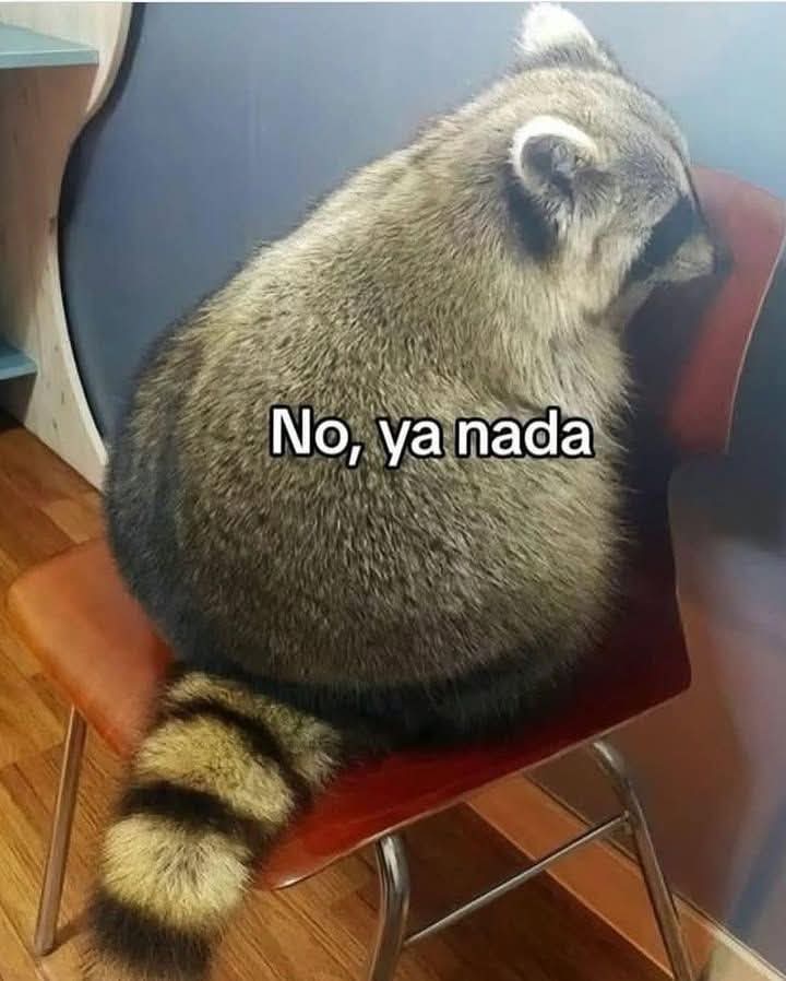 Cuando me interrumpen mientras cuento algo