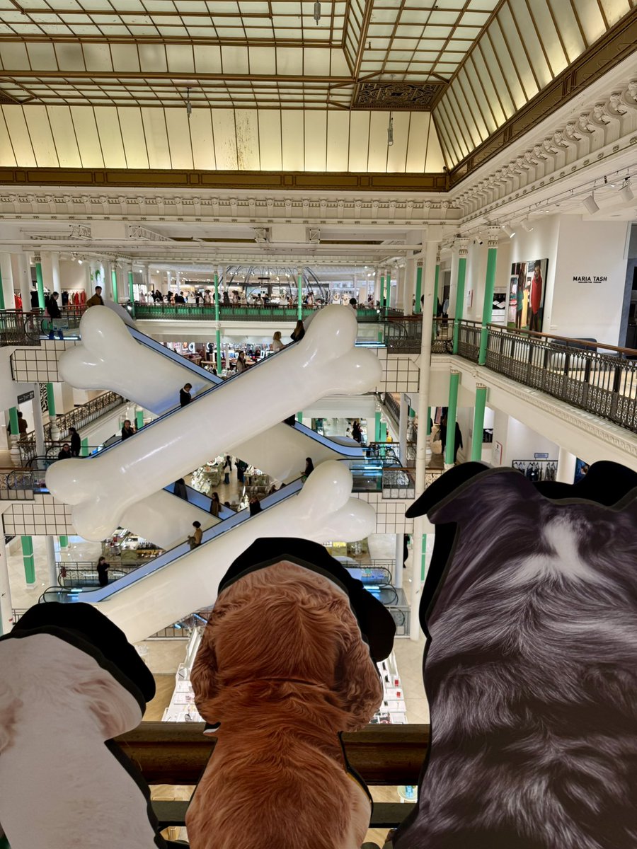 a8mrx's tweet photo. 📍ボン・マルシェ百貨店🇫🇷
ワンちゃんグッズが1Fから3Fのフロアで展開されててめちゃくちゃかわいい🐶スヌーピーコラボもあり、ワンちゃん飼ってる人は絶対楽しい✨✨ https://t.co/x7rdL50bSg