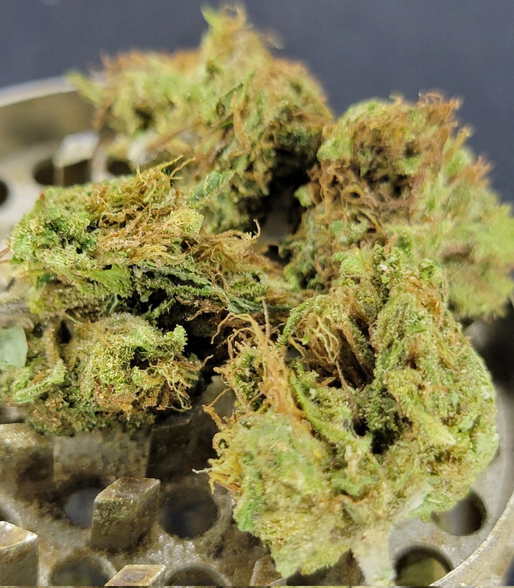 ✨️MOTITA GRATIS✨️

Vamos a regalar 6oz de Cultivo Greenhouse entre nuestros seguidores! Para participar sólo debes dar RT a este tuit. Habrá dos ganadores, los anunciamos el próximo viernes. Suerte a todos!!