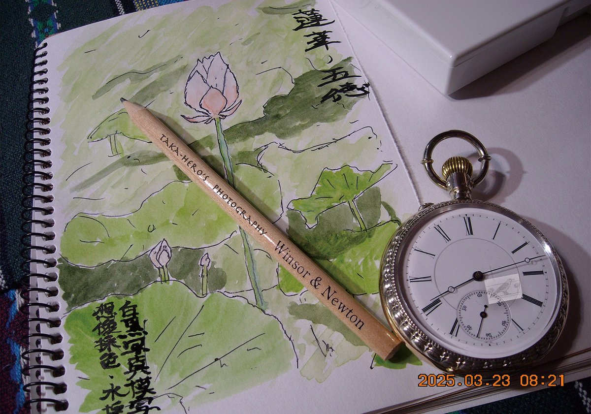 maharaja0884's tweet photo. 生きてます…
#Nikon #COOLPIX #S520 #蓮🪷 #模写 #スケッチ #水彩画 #WinsorNewton #100均SketchBook #生存報告 https://t.co/QmddR9SHk3